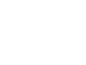 Brainfactory Logo